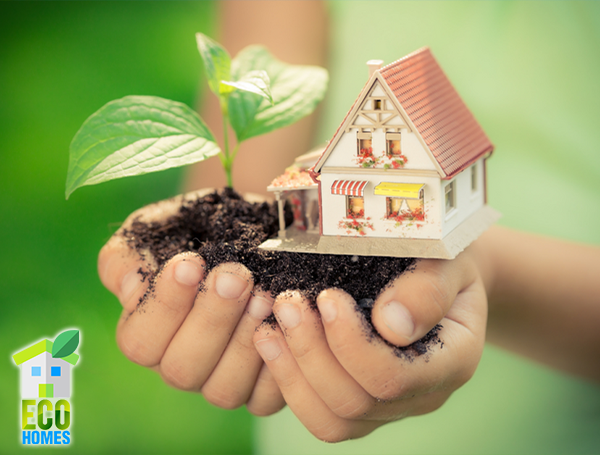 Construction bois écologique